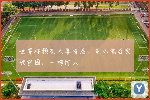 世界杯预测大幕将启，龟队能否突破重围，一鸣惊人