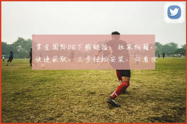 赏金国际pg下载链接，独家秘籍，快速获取，三步轻松安装，必看攻略，不容错过