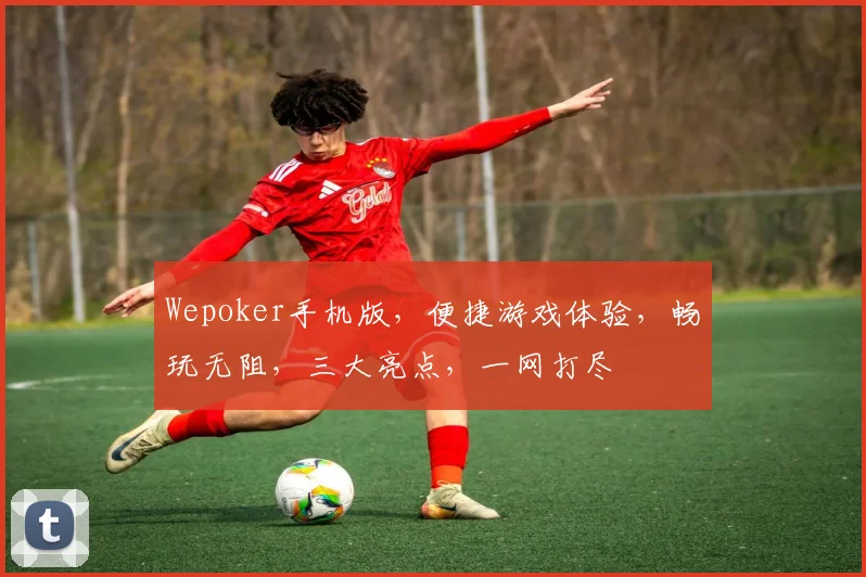 Wepoker手机版，便捷游戏体验，畅玩无阻，三大亮点，一网打尽