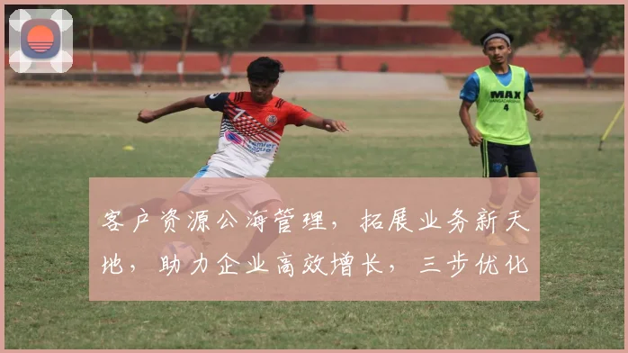 客户资源公海管理，拓展业务新天地，助力企业高效增长，三步优化，策略领先