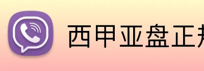 西甲亚盘正规网站 Logo
